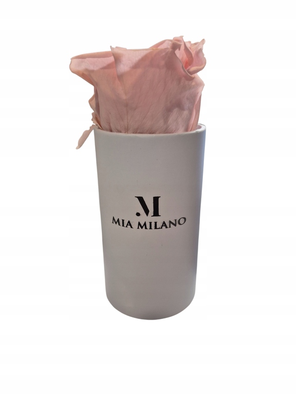 Róże Mia Milano Pudełko z prawdziwymi różami I Trwałe kwiaty w pudełku (1)